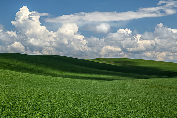 Palouse Hills