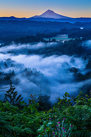 Jonsrud First Light