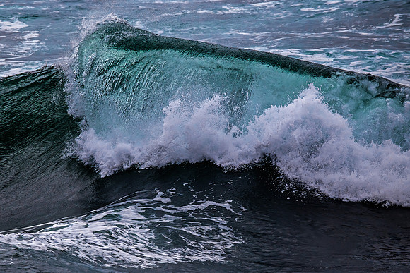 The Wave